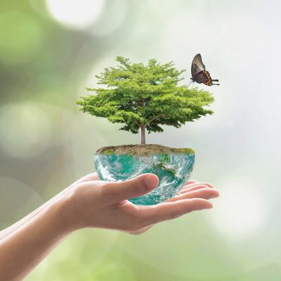 Ecoconception Ecoconception